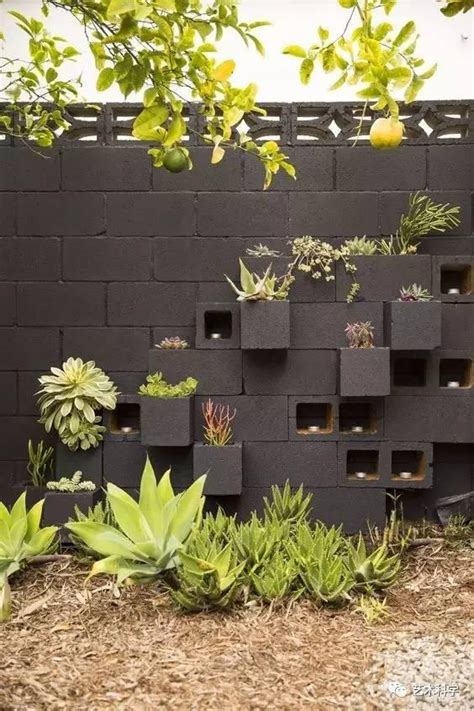 房間可以種植物嗎 住家圍牆設計